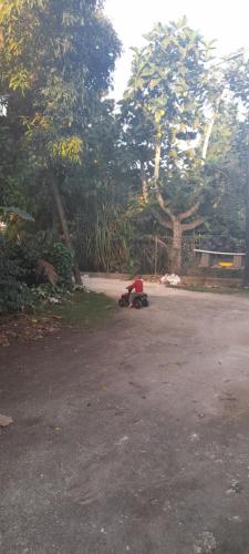 Ảnh trong thư viện ảnh của Buddle Camping Ground ở Nuku‘alofa