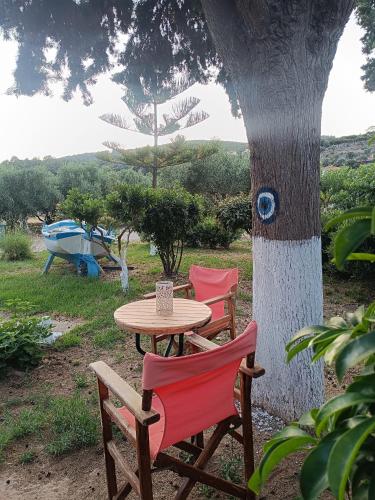 Gallery image of Athina Studio Apartments in Kerveli