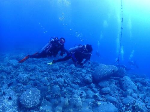 two people are diving over a coral reef at Lahaina Roads 407 in Lahaina