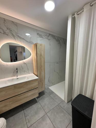 une salle de bain avec un lavabo et un miroir dans l'établissement super appartement F3 avec jardin, à Pietrosella