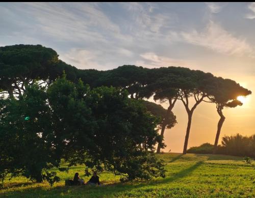 Paisaje cerca de este apartamento