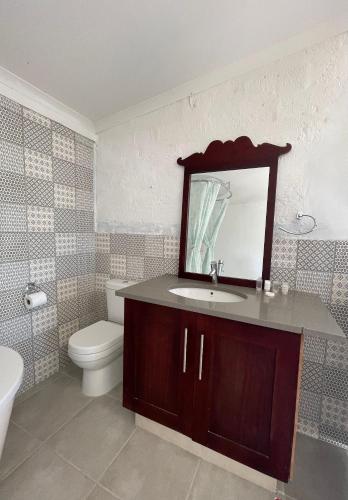 a bathroom with a sink and a toilet and a mirror at Honeymoon Stay at The James Family Farm in Grabouw