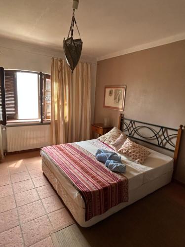 Villa Carolina