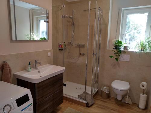 a bathroom with a shower and a sink and a toilet at Ferienwohnung Central in Rostock