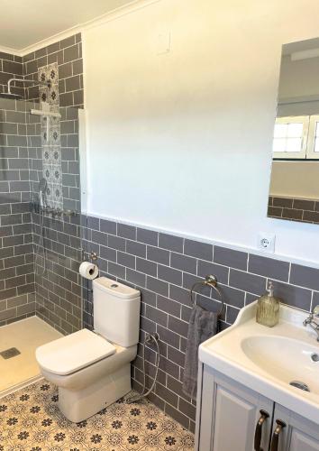 a bathroom with a toilet and a sink at The Cão & Calf in Faja Grande