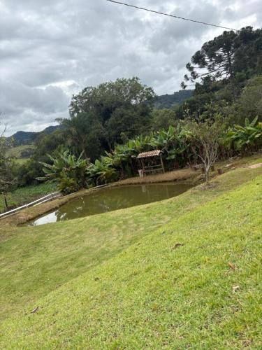 a pond in the middle of a grass field at Suite lua cheia in Caldas