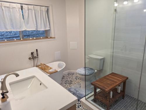 a bathroom with a shower and a sink and a toilet at Mountain Gem in McGaheysville