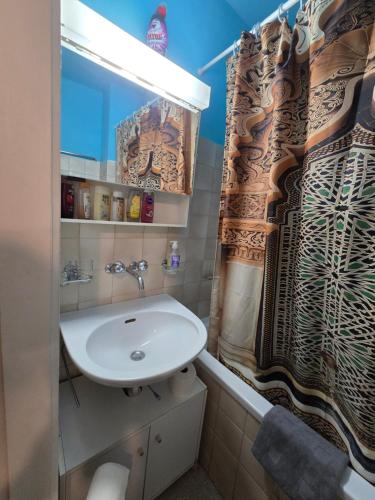 Un baño con lavabo y cortina de ducha. en Great Apartment near Bern & Up to 7 Seats Cars Rental Option, en Ittigen