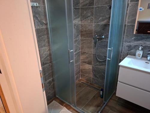 a bathroom with a shower and a sink at Blue House in Netretić