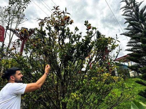 a man is standing next to a tree at Tierra Maravilla in Salento