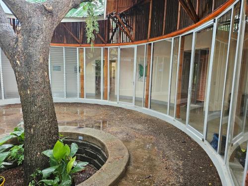 Κήπος έξω από το Bamboo C House