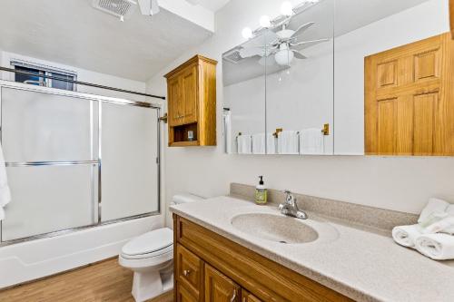a bathroom with a sink and a toilet and a shower at Mescalero Flagstaff in Munds Park