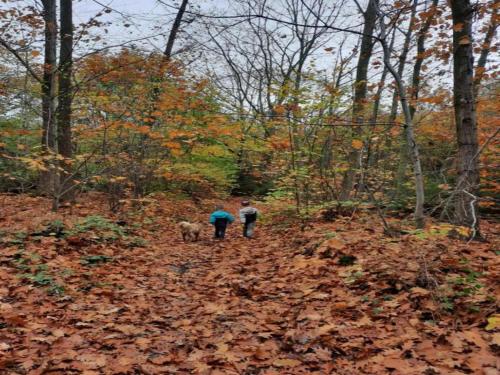 two people and a dog walking in the woods at Charming Family Home in Esneux in Esneux