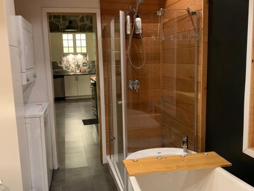 un bagno con doccia e lavandino di Le loft du capitaine a L'Ange Gardien