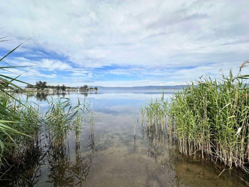 a large body of water with grass in the foreground at Cudgeree Tiny for Two in Windang