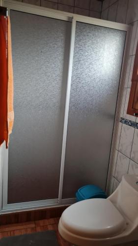 a shower door in a bathroom with a toilet at Coñaripe Kuyen Mapu Cabañas in Coñaripe