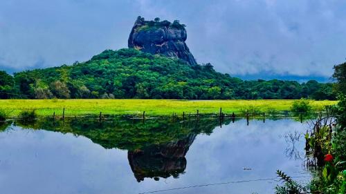 a reflection of a rock in a body of water at Priyavimana resort in Habarana
