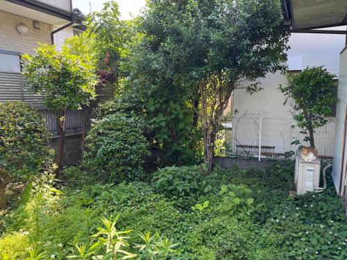 Setagaya 1 room simple stay #SK1