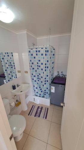 a bathroom with a toilet and a sink at Aníbal Pinto Apartment 2D 2B in Concepción