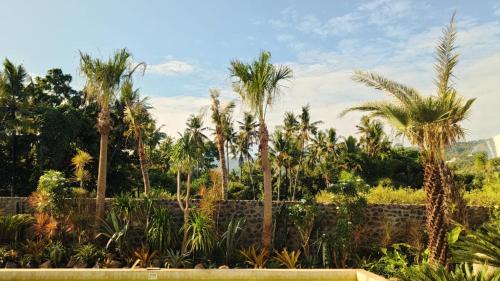 Villa Cactus is far from home but like your home Villa Cactus 3 BR isn't just a tropical villa in the heart of a coconut grove it's a feeling Next door Villa Sungai also offers 2 BR and 1 Bungalow Ability to accommodate 12 peopleにある庭