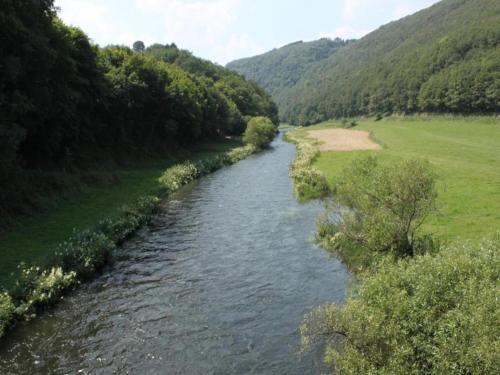 a river flowing through a field with trees at Tent Lodge in Nommern near Forest in Nommern