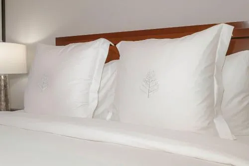 2 Bedroom OR King Studio Suites Four Seasons Hotel Miami Free Wi-Fi & Free Parking photo 12