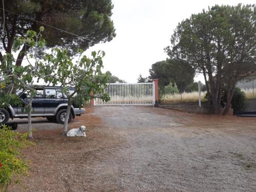 Φωτογραφία από το άλμπουμ του Casale Grandangolo σε Capoliveri