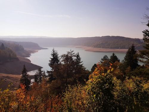 MaisodにあるChalet chaleureux - Cerfの木立の丘から湖の景色