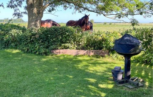 two horses are standing behind a hedge with a bin at Amazing Home In Højer With Wifi in Højer