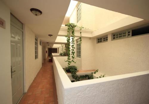 a hallway of a building with a plant growing on it at Hotel Argento Zacatecas in Zacatecas