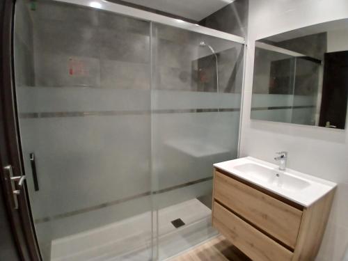 a bathroom with a shower and a sink at Palau-Vacances Pirinenca in Encamp