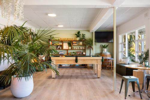 an office with a desk and plants in a room at Barossa Palms Motel in Nuriootpa
