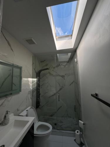 a bathroom with a shower and a toilet and a skylight at The Monochrome Villa in Fort Lauderdale