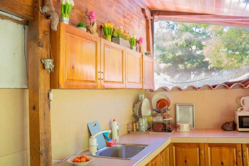 Gallery image of Marianas Guesthouse in Obzor