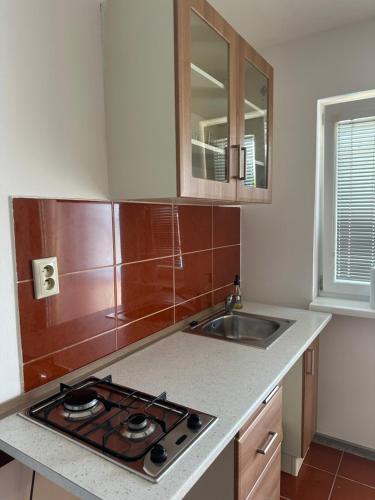 A kitchen or kitchenette at Apartmánový dom RED