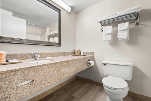 a bathroom with a toilet and a sink and a mirror at Quality Inn Auburn Campus Area I-85 in Auburn