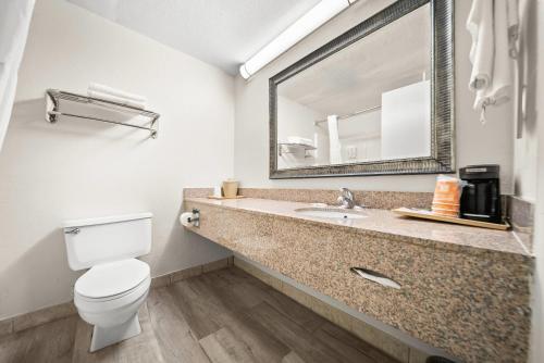 a bathroom with a toilet and a sink with a mirror at Quality Inn Auburn Campus Area I-85 in Auburn