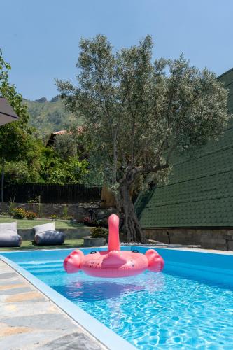 a pink inflatable raft in a swimming pool at Villa Vista in Tirana