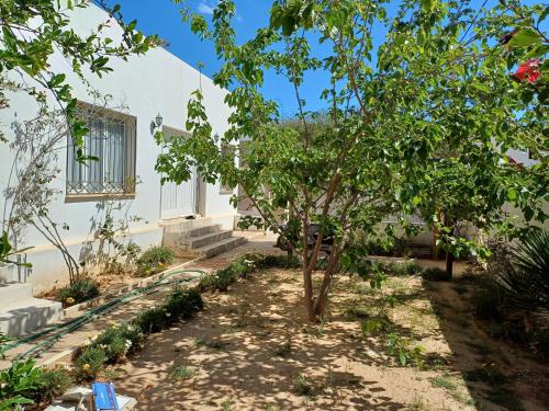 a garden in front of a white building with a tree at Baraka in Aghīr