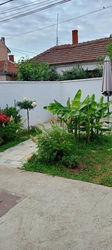 a garden with an umbrella and plants next to a fence at Gostinska kuća in Leskovac