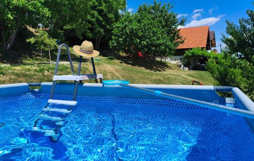 a hat sitting on a chair in a swimming pool at Cozy Home In Vukovoj With Wi-Fi in Vukovoj