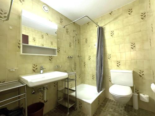 une salle de bain avec un lavabo, des toilettes et une douche dans l'établissement Royal 41, à Loèche-les-Bains