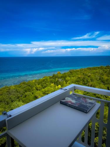 a book sitting on a balcony overlooking the ocean at Aqua Horizon Beachside Condo I Signature Art Suites in Dauis