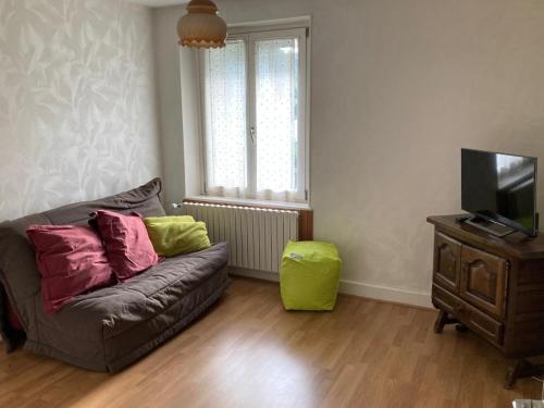 a living room with a couch and a television at Le Gîte d'Orion in La Bresse
