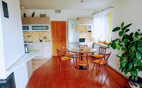 Bílá TřemešnáにあるApartmán U Zebryのキッチン(ダイニングルームテーブル、椅子付)