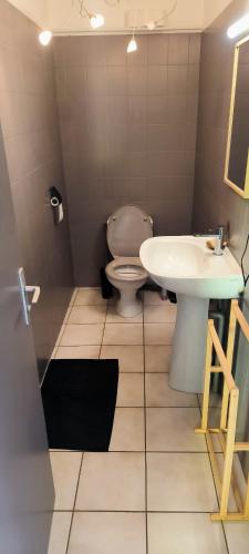 a bathroom with a toilet and a sink at appartement proche zenith in Montpellier