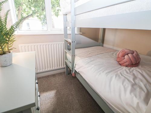 a bedroom with a bunk bed and a plant at 37 Berry Hill Lane in Mansfield