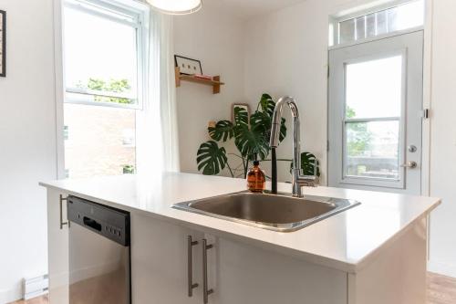 a kitchen with a sink and two windows at Appart lumineux et chaleureux in Montréal