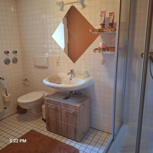 a bathroom with a sink and a toilet and a shower at Villa Grenzenlos in Löffingen