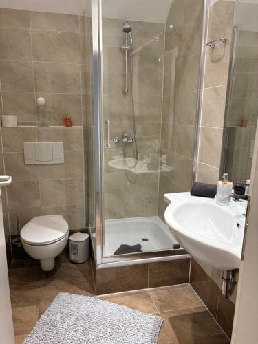 a bathroom with a shower and a toilet and a sink at Appartementshaus Vlora 2 App 5 in Bad Füssing